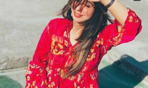 5-star hotel escorts Delhi